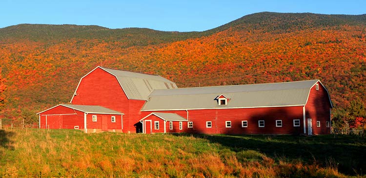 Vermont Farm Insurance